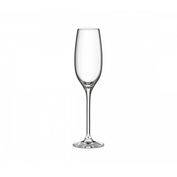 Pahar din cristal pentru sampanie, 150 ml | set 6 bucati | colectia Edition